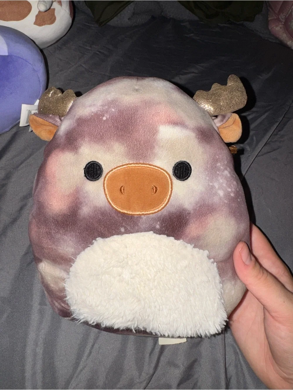 Moose Squishmallow